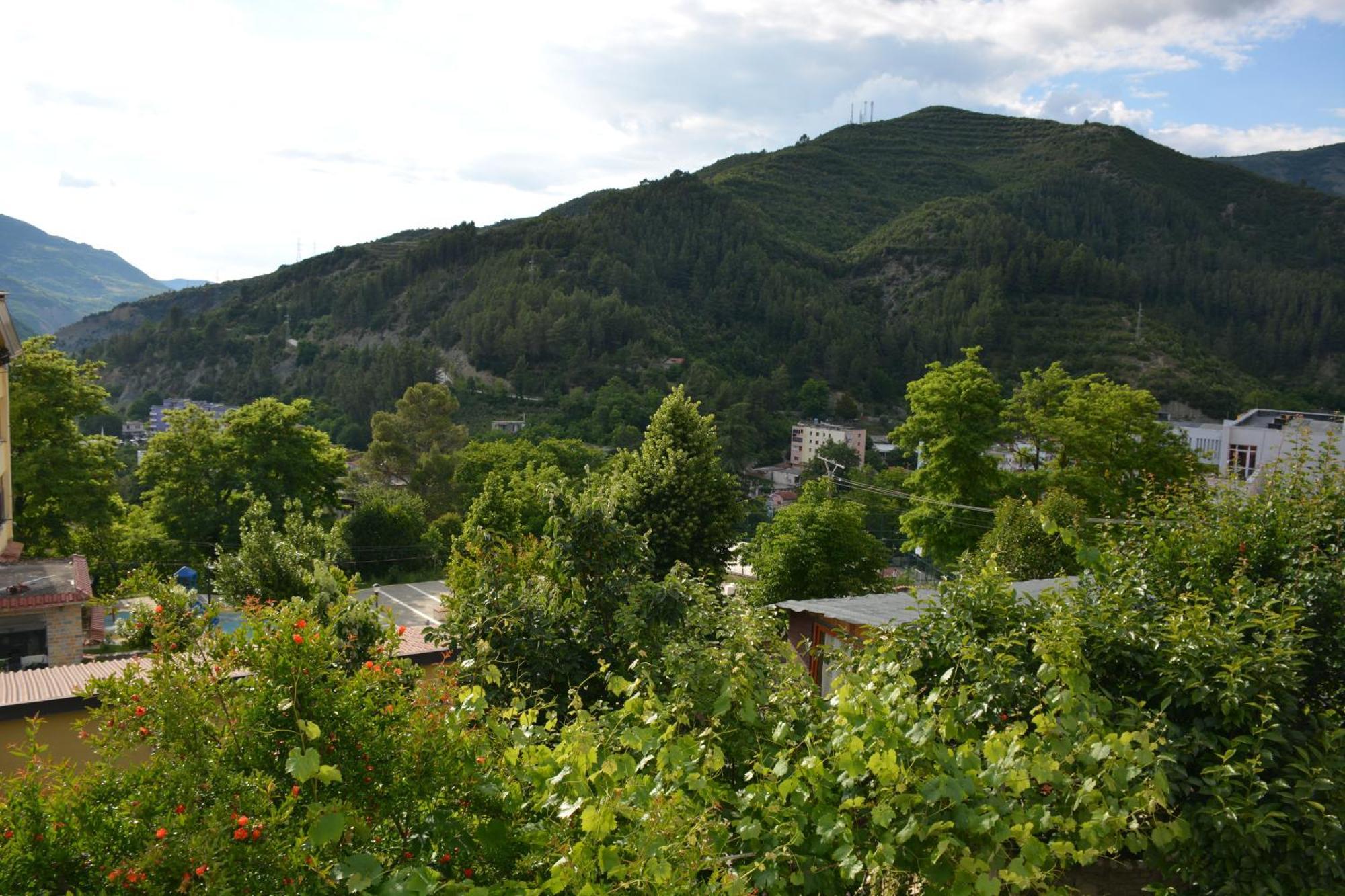 Gasthof Luli Muca